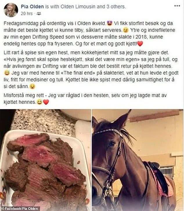 挪威少女给病马实施安乐死，在网上炫耀吃马肉后遭死亡威胁