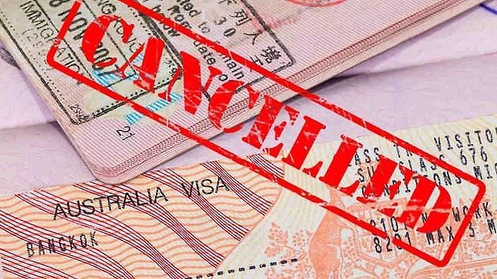 曝光！数万中国人利用澳洲签证漏洞！华人忍无可忍，“别丢我们脸”！（组图） - 19