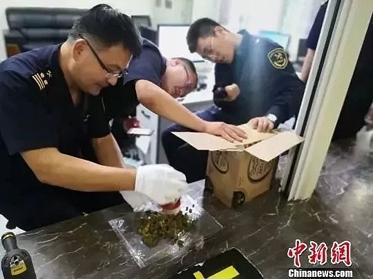 又见花式藏毒！中国海关查获大量“大麻鱼油胶囊”！全部来自加拿大！（组图） - 6