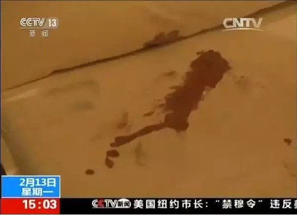 中国富二代留学生打死同胞，父母为其交保2000万！命案更多细节曝光！（组图） - 6
