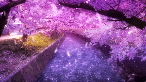 紫色浪漫席卷澳洲，这座叫“春”的城市，正被“单身狗之花”攻陷~ - 10