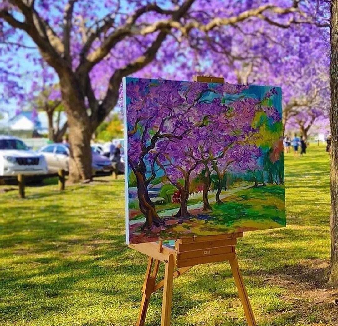 紫色浪漫席卷澳洲，这座叫“春”的城市，正被“单身狗之花”攻陷~ - 35