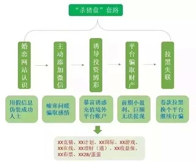 刚刚！244名诈骗犯被从东南亚押回国，起底专坑中国人的“杀猪盘”（组图） - 15