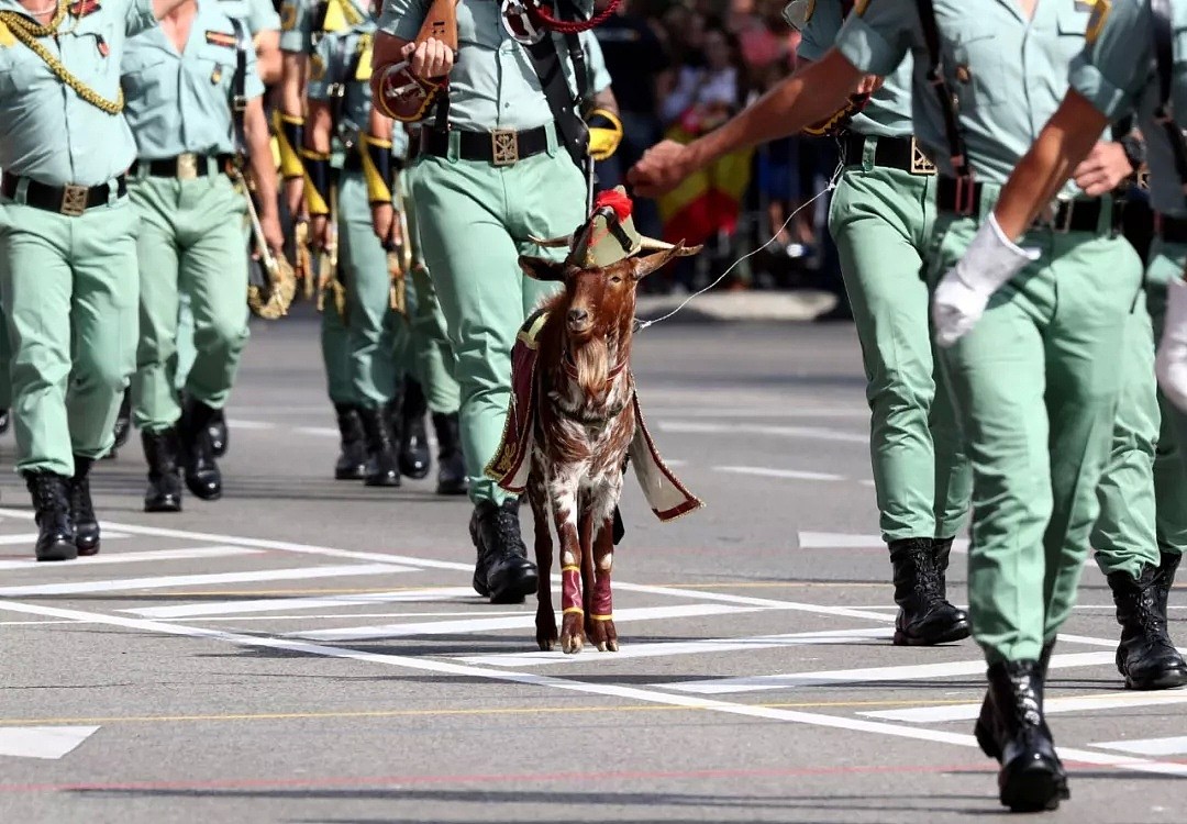 国庆节阅兵式，伞兵披着国旗挂上了路灯，西班牙真是个神奇的国家…（组图） - 20