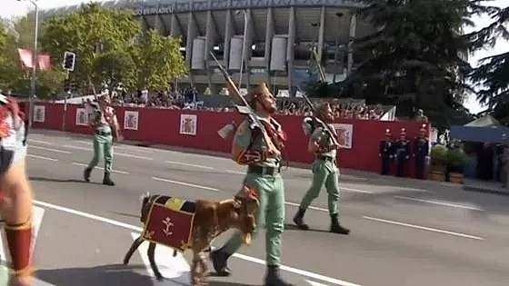 国庆节阅兵式，伞兵披着国旗挂上了路灯，西班牙真是个神奇的国家…（组图） - 21