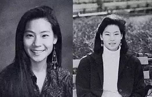 好莱坞最美华裔女星，竟是被嘲“丑如恐龙”的她（组图） - 7