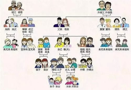 大批神秘生物入侵海岸，惊呆墨尔本华人！政府束手无策！中国网友：来吧，吃成濒危还是灭绝？ - 6