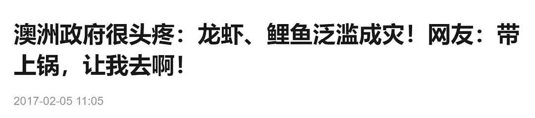 大批神秘生物入侵海岸，惊呆澳华人！当局慌了！中国网友：来吧，吃成濒危还是灭绝？ - 29