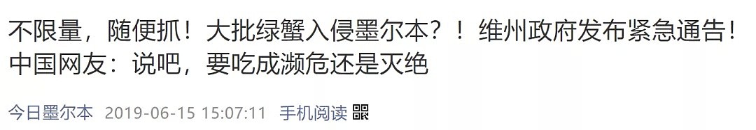 大批神秘生物入侵海岸，惊呆澳华人！当局慌了！中国网友：来吧，吃成濒危还是灭绝？ - 33