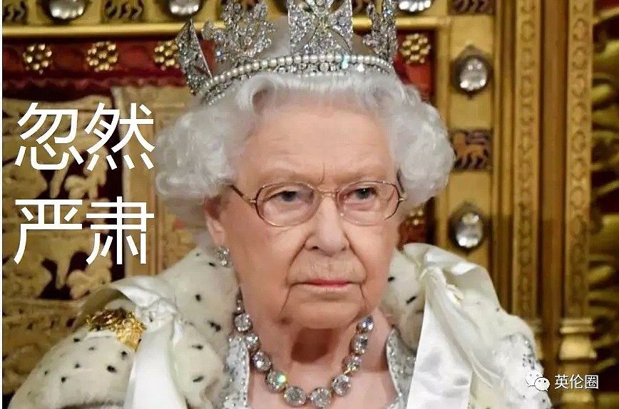 女王2年后又成复读机：10月要脱欧！连皇冠都不戴了...（组图） - 32
