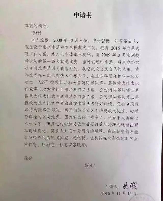 汶川地震救下15条人命的狗狗去世！网友写下评论，第一条就看哭了