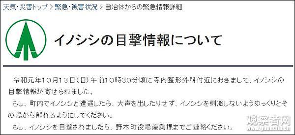 台风天 群猪一路狂奔 为生存而战 感动网友（组图） - 18