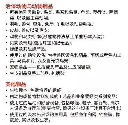 澳洲机场成拒签“重灾区”！如何避免签证当场取消？（组图） - 28