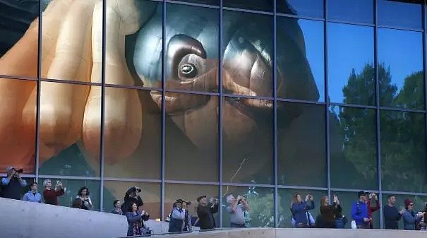 堪闻 | 堪飞絮使学生挂科？|世界著名“飞鲸”热气球回堪培拉啦|堪公交亭被画作日历|澳原住民议会被迫停止 - 5
