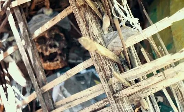 【猎奇】揭秘印尼腐葬习俗，让尸体自然风化，画面有点......（组图） - 7