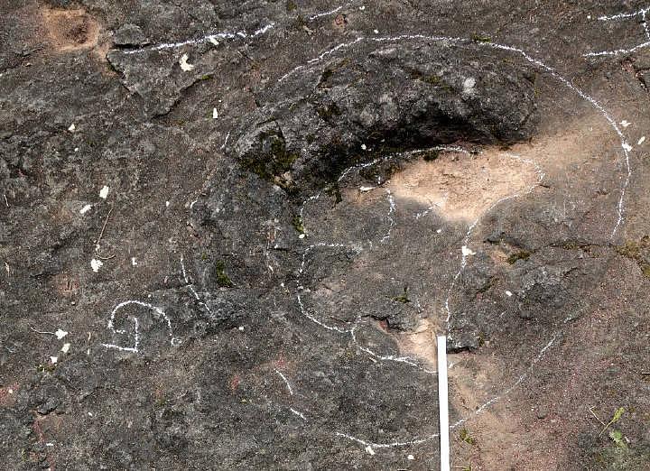 浙江发现一亿年前恐龙脚印，可是被当地村民填了！（组图） - 5