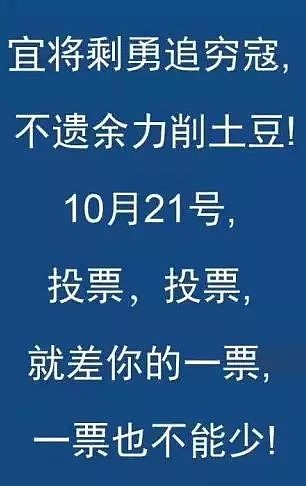 重磅！特鲁多赢了！下一个四年，他还是总理！加币瞬间暴涨，可留学生华人却哭了...（组图） - 18