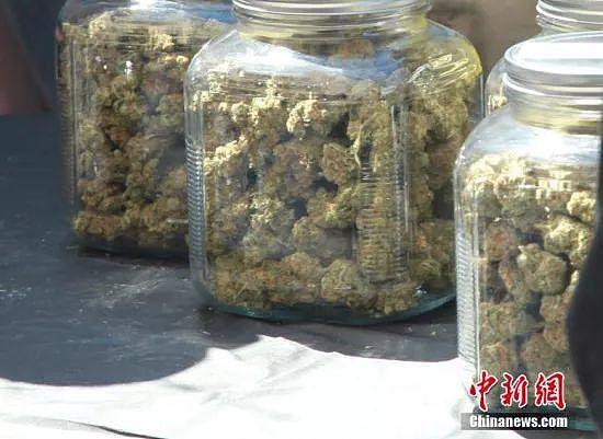 大麻饼干、大麻糖果、大麻化妆品...加拿大“大麻零食”合法化愁坏华侨华人