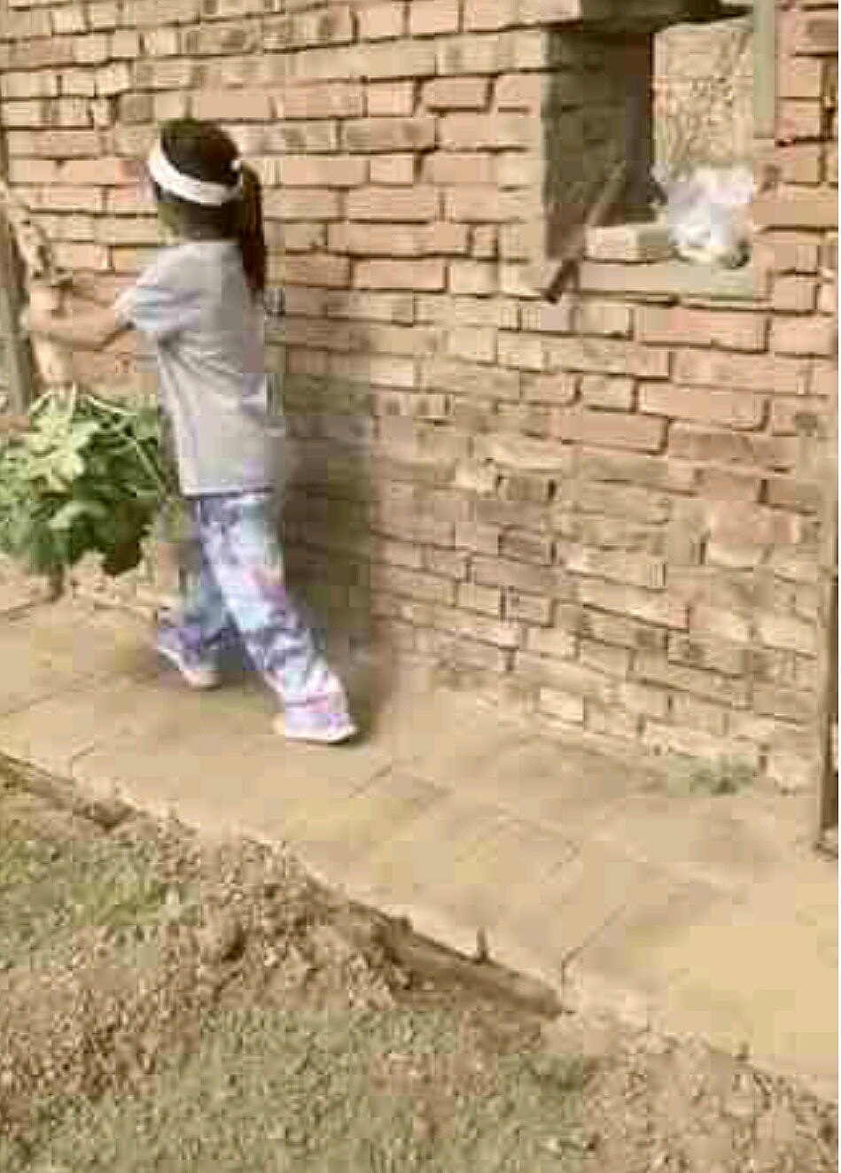 李小璐母女下地干农活，6岁甜馨土墙边拔萝卜和农村娃没两样（组图） - 2