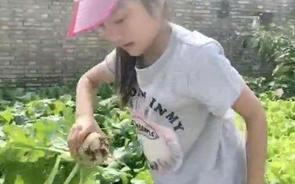 李小璐母女下地干农活，6岁甜馨土墙边拔萝卜和农村娃没两样（组图） - 3