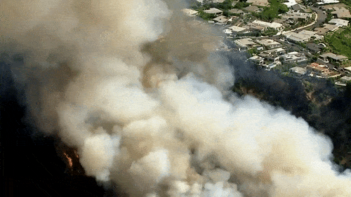 洛杉矶又发生大面积山火！百万豪宅被烧毁，4.5万户居民强行断电…（组图） - 2