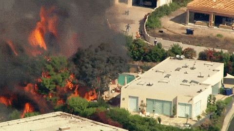 洛杉矶又发生大面积山火！百万豪宅被烧毁，4.5万户居民强行断电…（组图） - 5