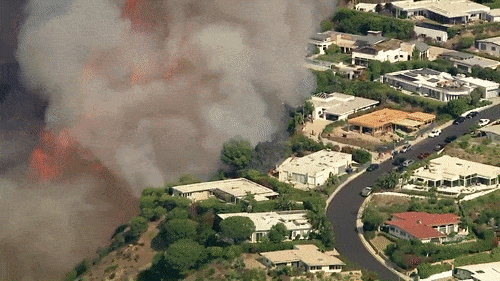 洛杉矶又发生大面积山火！百万豪宅被烧毁，4.5万户居民强行断电…（组图） - 11