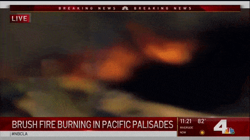 洛杉矶又发生大面积山火！百万豪宅被烧毁，4.5万户居民强行断电…（组图） - 13