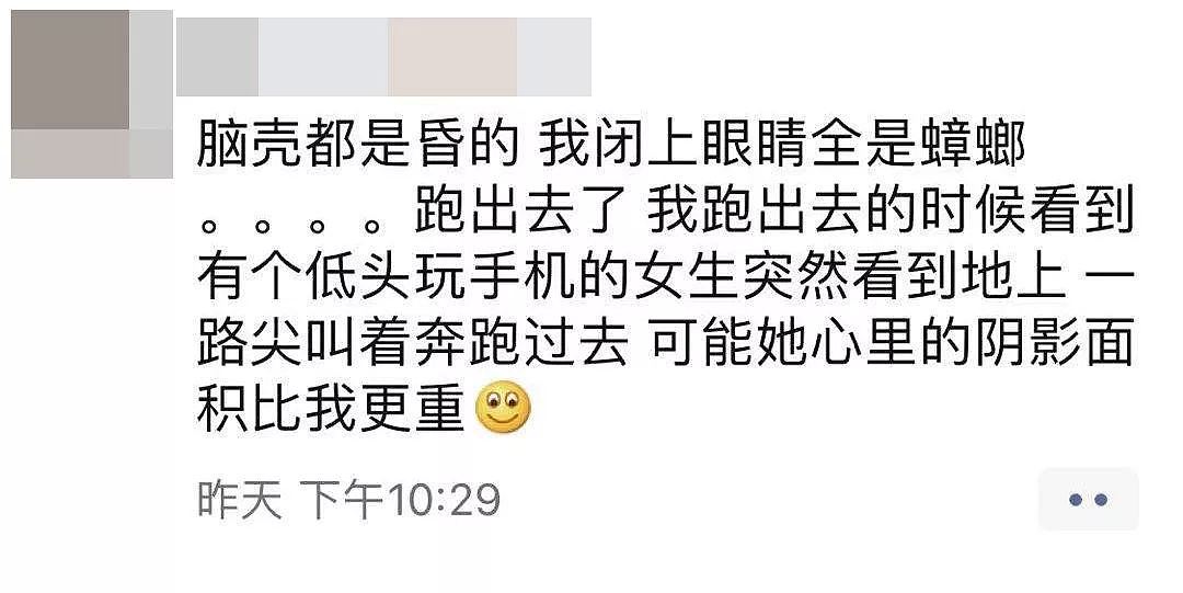 华人女子吓破胆！成千上万的可怕毒物入侵全澳，它们无处不在，已有华人中招！ - 14