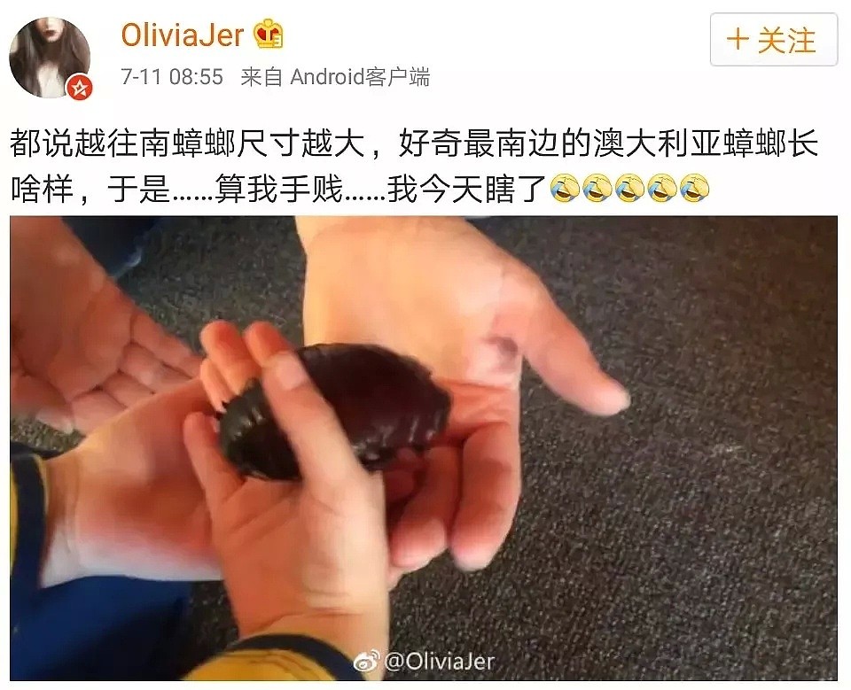 华人女子吓破胆！成千上万的可怕毒物入侵全澳，它们无处不在，已有华人中招！ - 21