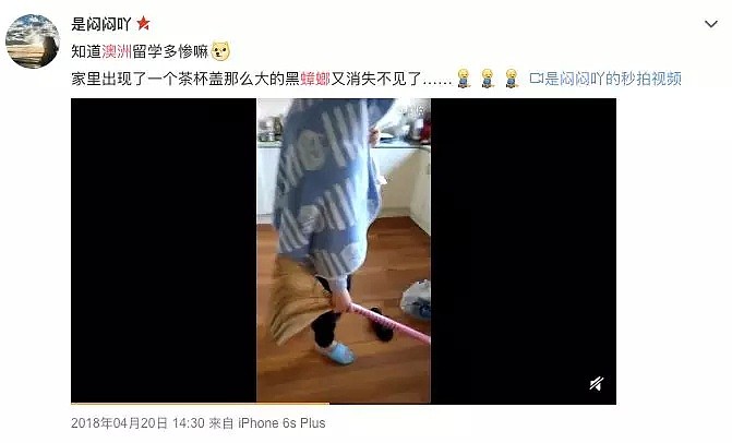 华人女子吓破胆！成千上万的可怕毒物入侵全澳，它们无处不在，已有华人中招！ - 25