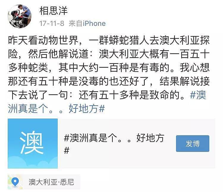 华人女子吓破胆！成千上万的可怕毒物入侵全澳，它们无处不在，已有华人中招！ - 38