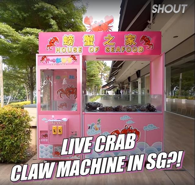 新加坡餐厅造“抓螃蟹机”走红，却被指玩弄动物，网友称太残忍