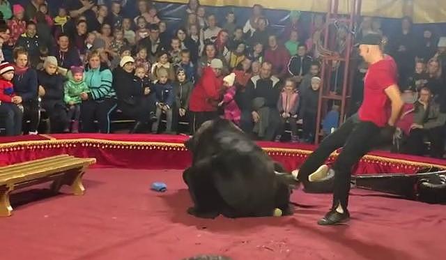 俄罗斯马戏团黑熊“发飙”站立攻击驯兽员 观众以为是表演