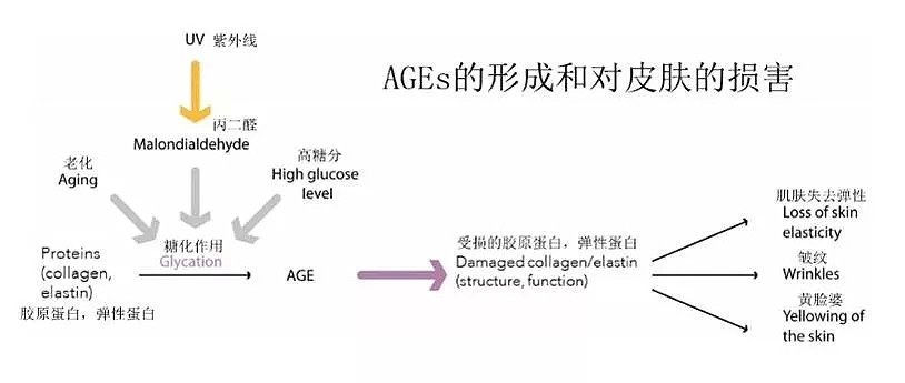 曝光! 澳洲涂抹式抗糖什么鬼? 再也别劝我抗糖了, 深扒科学依据后, 我根本坐不住了… - 10