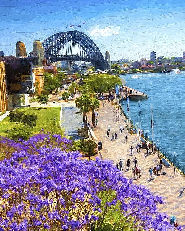 地表最强攻略！又是一年蓝花楹季，悉尼成一片紫海！最佳观赏地点原来是这座小镇...... - 15