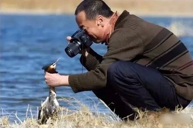 中国摄影师拍“沙雕表情包”竟斩获国际大奖？全世界的网友看完这张照片，都笑了…（组图） - 37