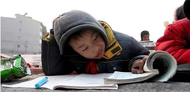 中国学澳洲这一套，快把家长逼疯了，“晚9点后不让写作业？那就早上5点写！” - 2