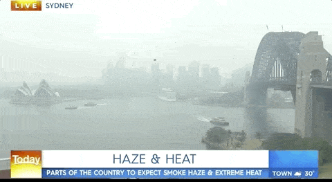 悉尼遭浓雾锁城，空气污染比北京严重！新州90处山火失控，350只考拉或被活活烧死！（组图） - 1