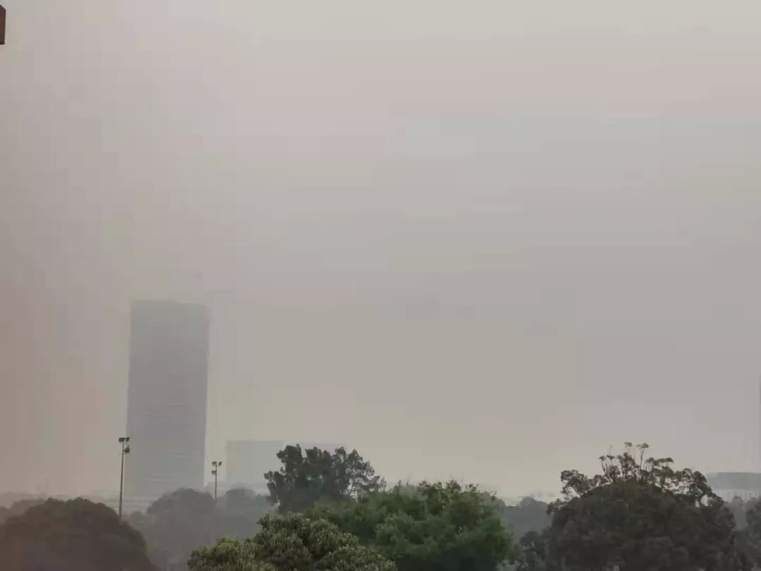 悉尼遭浓雾锁城，空气污染比北京严重！新州90处山火失控，350只考拉或被活活烧死！（组图） - 5
