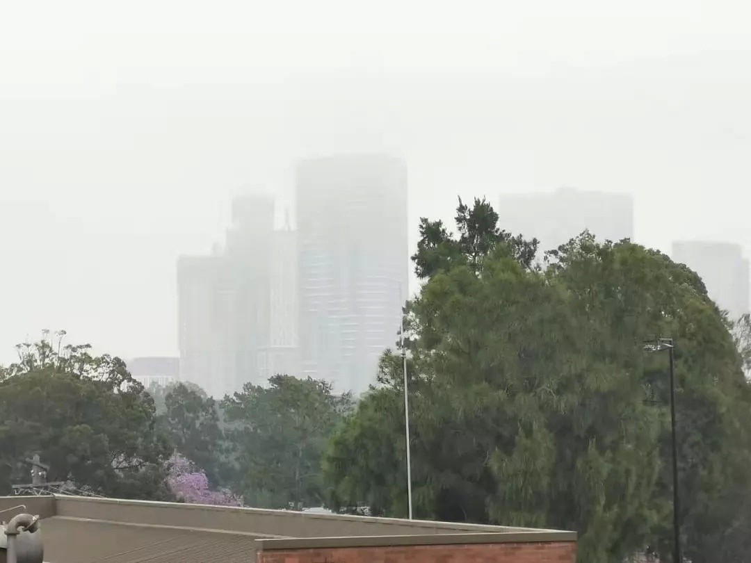 悉尼遭浓雾锁城，空气污染比北京严重！新州90处山火失控，350只考拉或被活活烧死！（组图） - 6