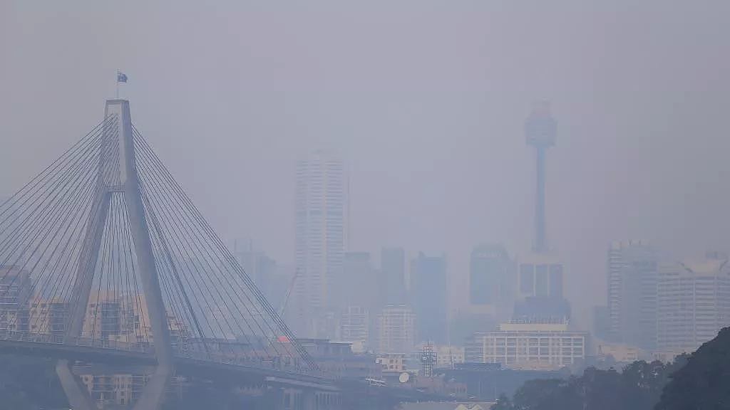 悉尼遭浓雾锁城，空气污染比北京严重！新州90处山火失控，350只考拉或被活活烧死！（组图） - 16