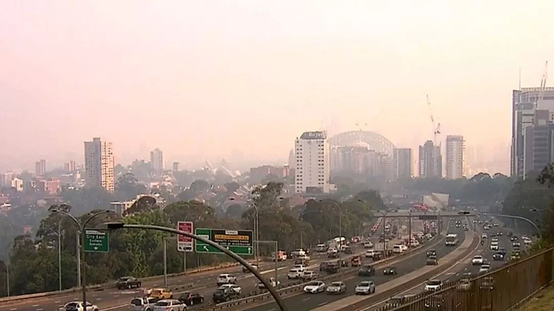悉尼遭浓雾锁城，空气污染比北京严重！新州90处山火失控，350只考拉或被活活烧死！（组图） - 17