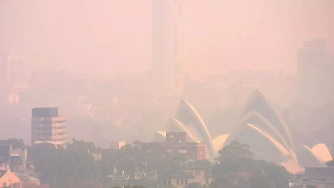 悉尼遭浓雾锁城，空气污染比北京严重！新州90处山火失控，350只考拉或被活活烧死！（组图） - 18