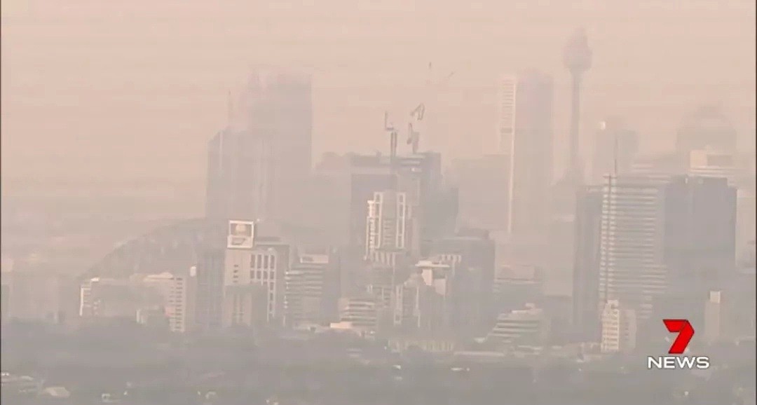 悉尼遭浓雾锁城，空气污染比北京严重！新州90处山火失控，350只考拉或被活活烧死！（组图） - 19