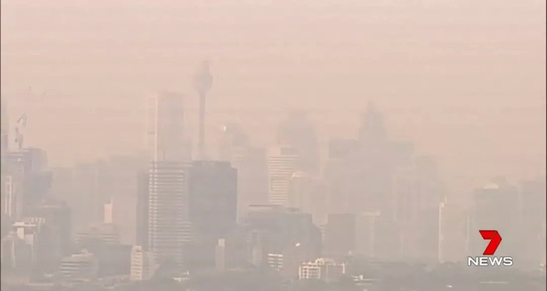 悉尼遭浓雾锁城，空气污染比北京严重！新州90处山火失控，350只考拉或被活活烧死！（组图） - 20