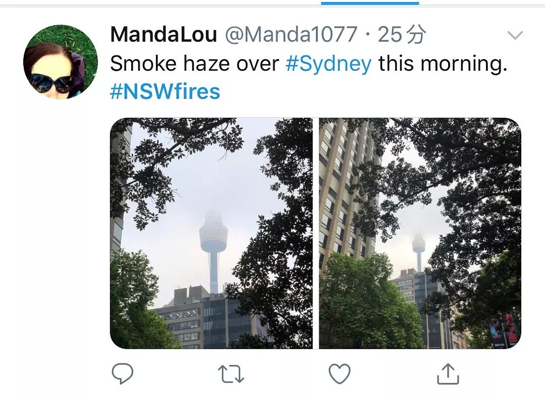 悉尼遭浓雾锁城，空气污染比北京严重！新州90处山火失控，350只考拉或被活活烧死！（组图） - 21