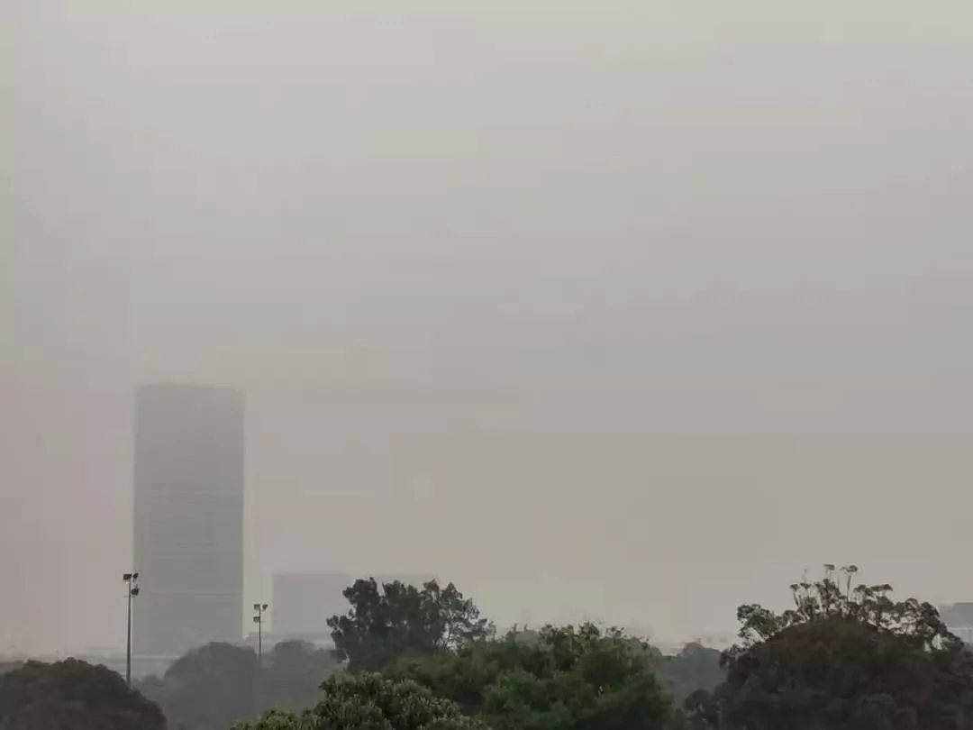 悉尼遭浓雾锁城，空气污染比北京严重！新州90处山火失控，350只考拉或被活活烧死！（组图） - 23