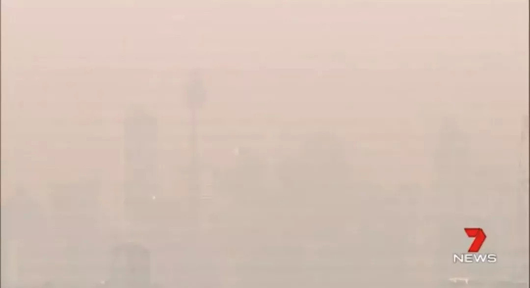 悉尼遭浓雾锁城，空气污染比北京严重！新州90处山火失控，350只考拉或被活活烧死！（组图） - 26