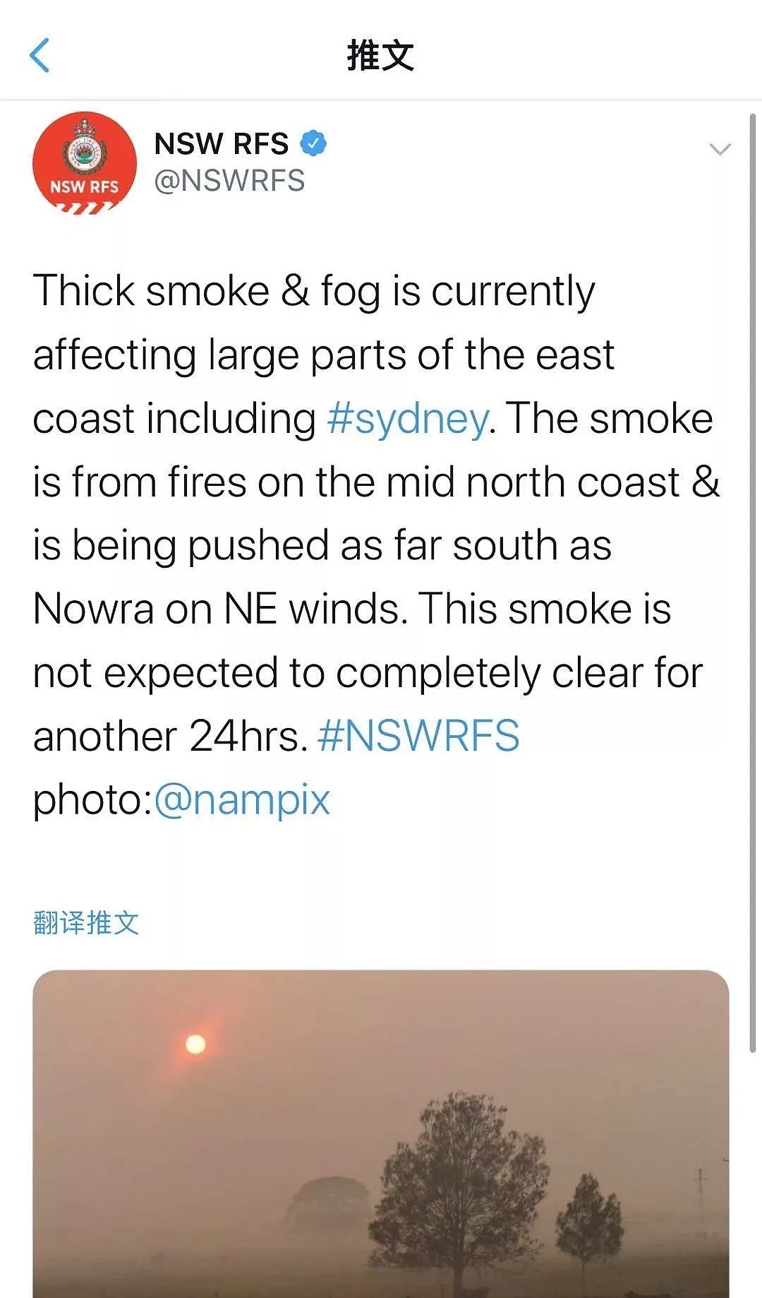 悉尼遭浓雾锁城，空气污染比北京严重！新州90处山火失控，350只考拉或被活活烧死！（组图） - 42